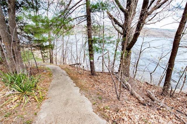 16353 W Lake Rd, Pulteney, NY 14418 - view of property's community featuring a water view