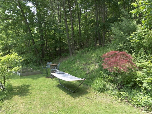 16353 W Lake Rd, Pulteney, NY 14418 - view of grassy yard featuring a garden and a forest view
