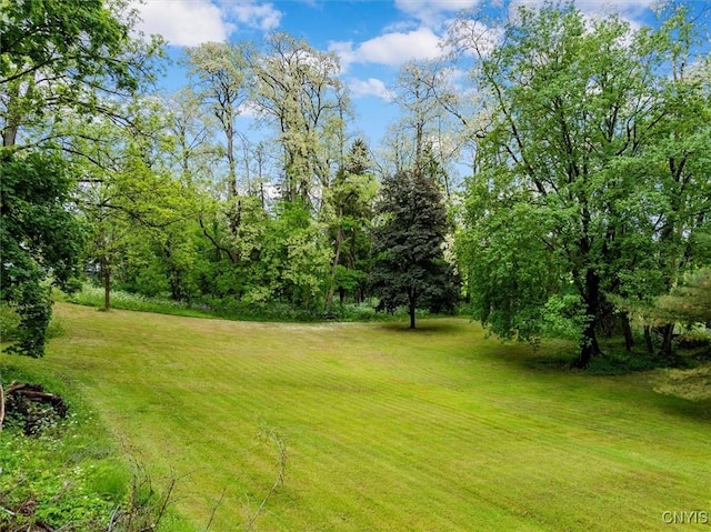 3864 Bristol Rd, Kirkland, NY 13323 - view of green lawn