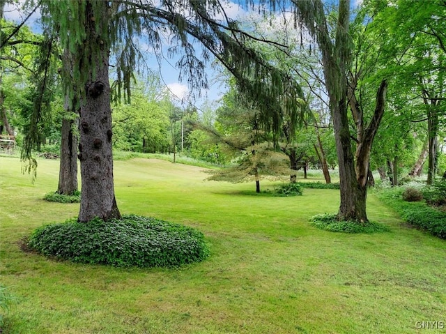 3864 Bristol Rd, Kirkland, NY 13323 - view of green lawn