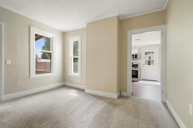 37 Nelson St, Auburn, NY 13021 - spare room featuring carpet flooring, plenty of natural light, and ornamental molding