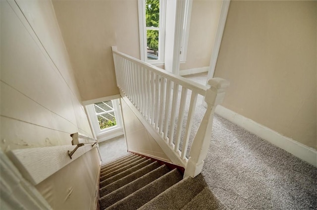 37 Nelson St, Auburn, NY 13021 - stairway with carpet and baseboards