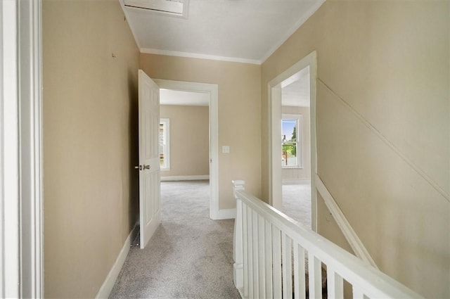 37 Nelson St, Auburn, NY 13021 - hallway with light colored carpet, an upstairs landing, and ornamental molding