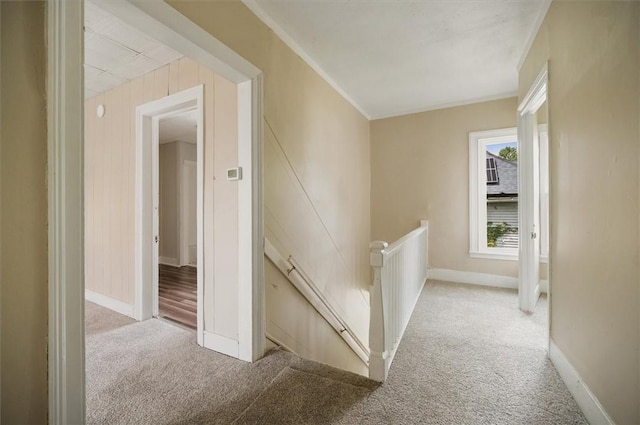 37 Nelson St, Auburn, NY 13021 - hallway featuring an upstairs landing, carpet floors, and crown molding
