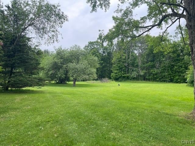 2690 County Route 26, Parish, NY 13131 - photo 31
