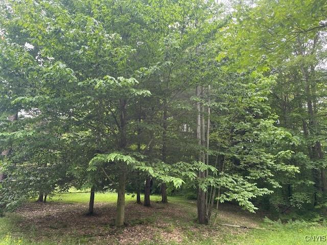 2690 County Route 26, Parish, NY 13131 - photo 29