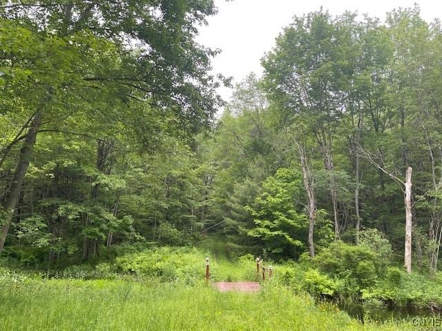 2690 County Route 26, Parish, NY 13131 - photo 30