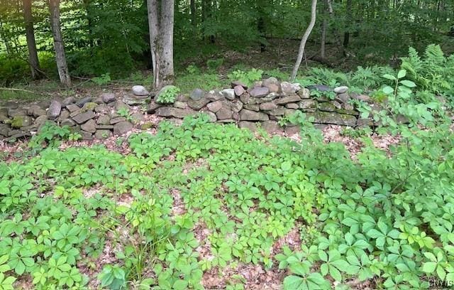 2690 County Route 26, Parish, NY 13131 - photo 33