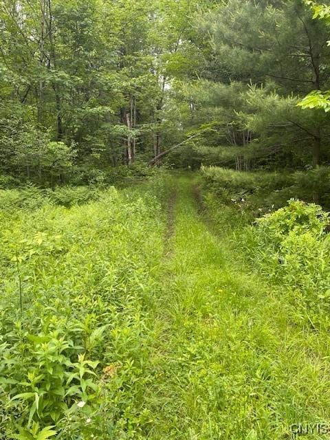 2690 County Route 26, Parish, NY 13131 - photo 35
