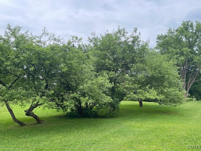 2690 County Route 26, Parish, NY 13131 - photo 40