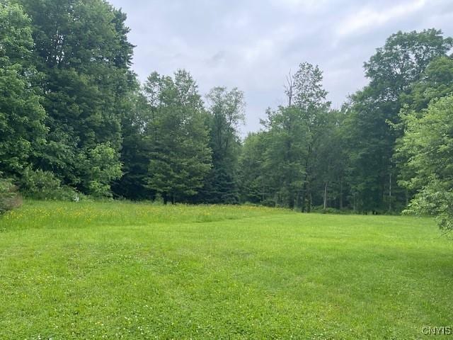 2690 County Route 26, Parish, NY 13131 - photo 41