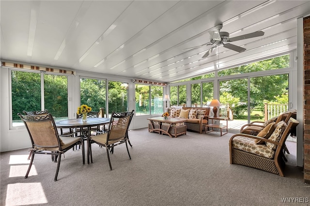 44 Deer Run, Amherst, NY 14221 - sunroom / solarium featuring carpet