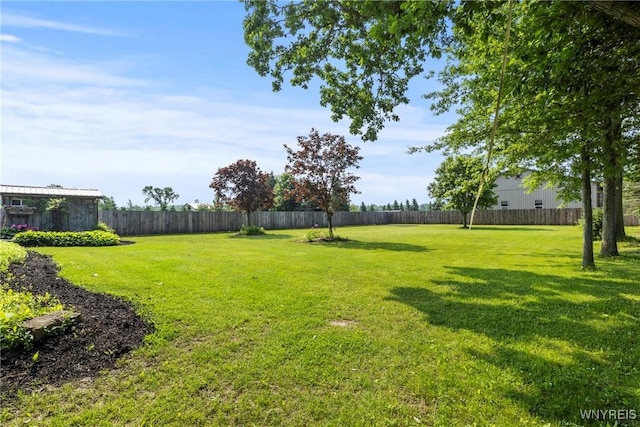 8345 Lapp Rd, Clarence, NY 14051 - view of yard