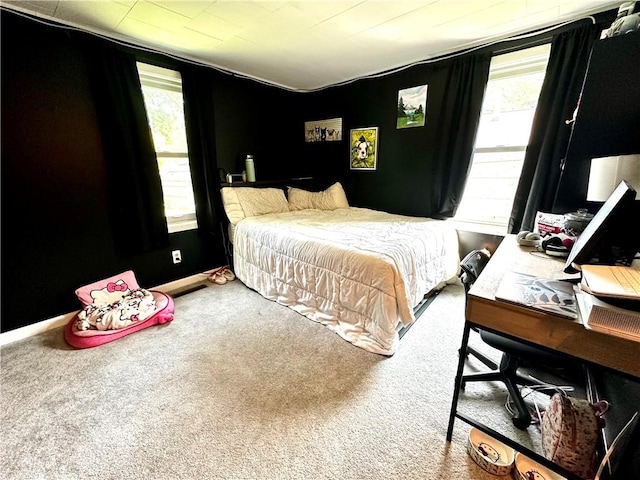22 Orchard Rd, Greece, NY 14612 - view of carpeted bedroom