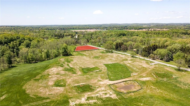 1086 Strong Rd, Victor, NY 14564 - photo 2