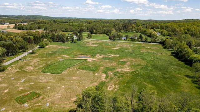 1086 Strong Rd, Victor, NY 14564 - photo 5