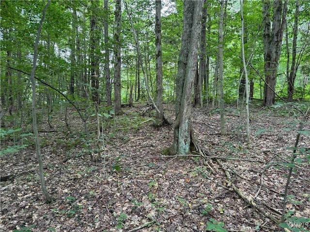 5368 Herrick Rd, Gerry, NY 14740 - photo 16