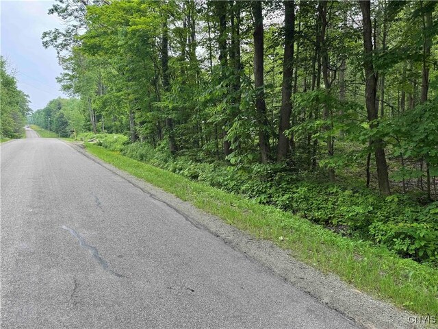 5368 Herrick Rd, Gerry, NY 14740 - photo 17