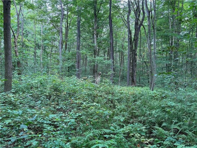 5368 Herrick Rd, Gerry, NY 14740 - photo 6