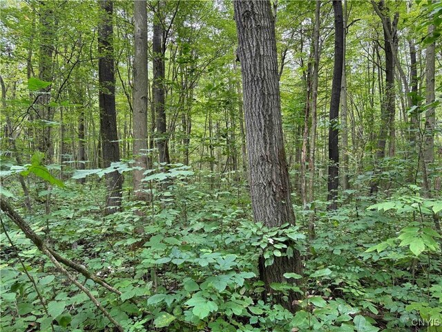 5368 Herrick Rd, Gerry, NY 14740 - photo 7
