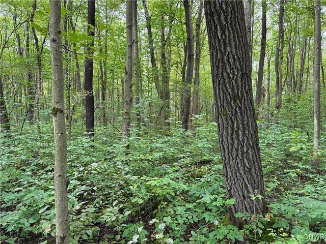 5368 Herrick Rd, Gerry, NY 14740 - photo 8