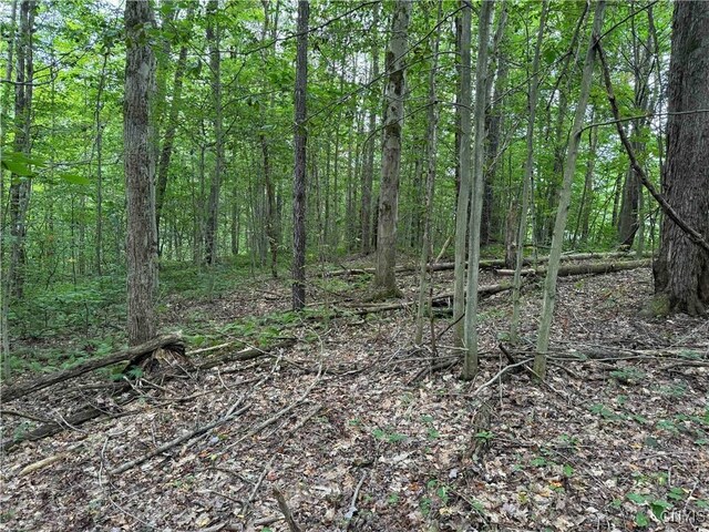5368 Herrick Rd, Gerry, NY 14740 - photo 9
