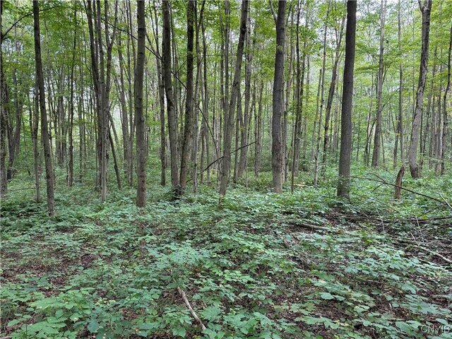 5368 Herrick Rd, Gerry, NY 14740 - photo 10