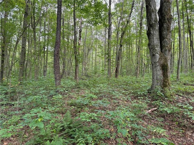 5368 Herrick Rd, Gerry, NY 14740 - photo 11