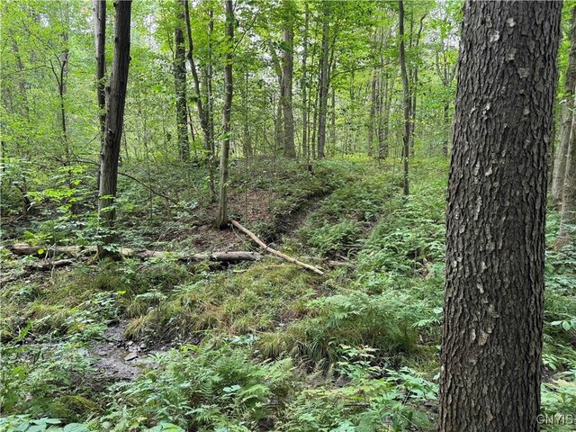 5368 Herrick Rd, Gerry, NY 14740 - photo 12