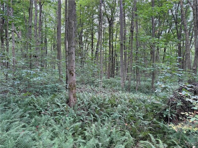 5368 Herrick Rd, Gerry, NY 14740 - photo 13