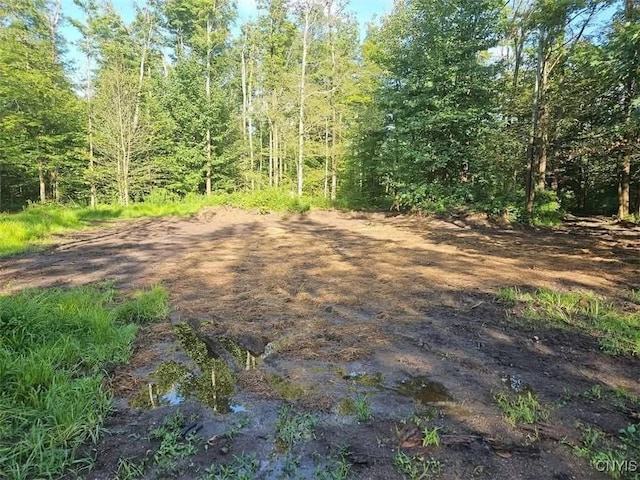5368 Herrick Rd, Gerry, NY 14740 - photo 1