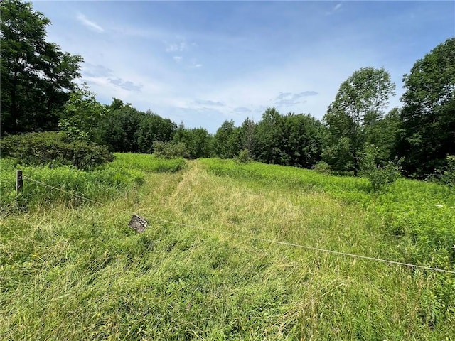 0 Shute Rd, Nunda, NY 14517