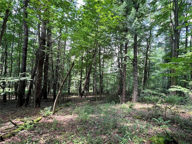 0 Shute Rd, Nunda, NY 14517