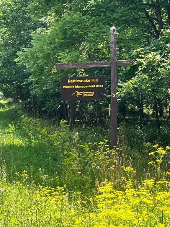 0 Shute Rd, Nunda, NY 14517