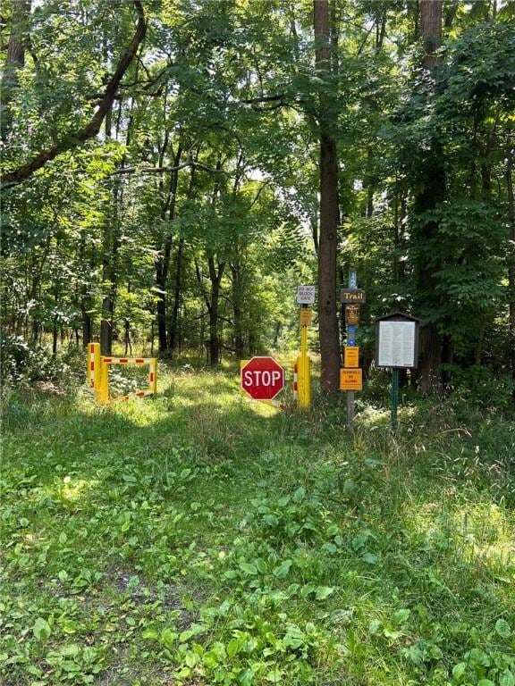 0 Shute Rd, Nunda, NY 14517