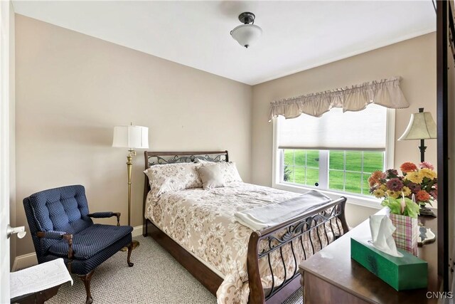 3969 Aquinnah, Marcellus, NY 13108 - photo 17