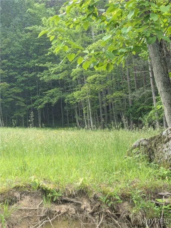 Boza Rd, Great Valley, NY 14748 - photo 1