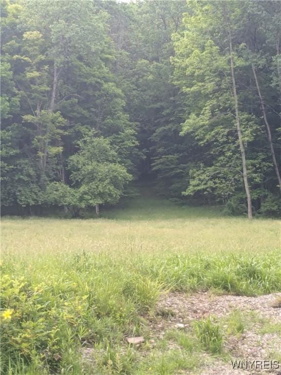 Boza Rd, Great Valley, NY 14748 - photo 2