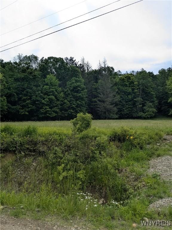 Boza Rd, Great Valley, NY 14748 - photo 3