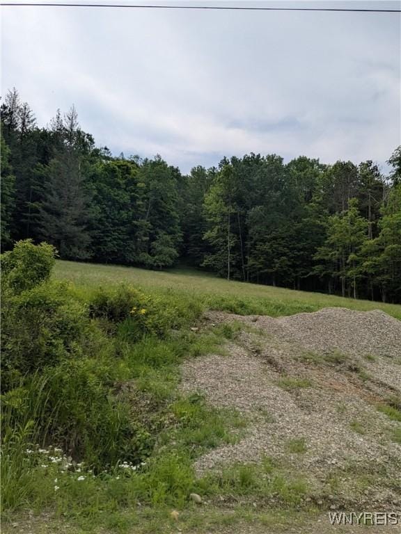 Boza Rd, Great Valley, NY 14748 - photo 4