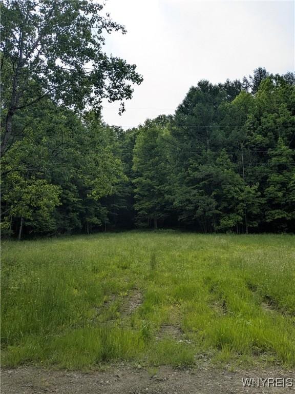 Boza Rd, Great Valley, NY 14748 - photo 5