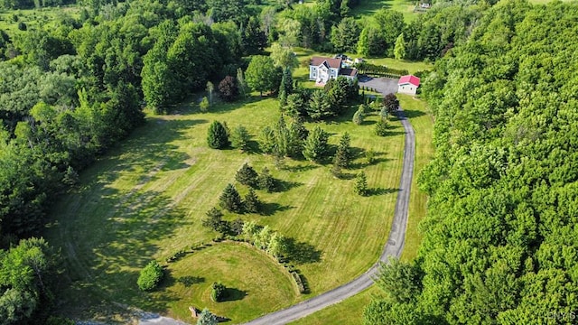 481 Deland Dr, Deerfield, NY 13502 - photo 48