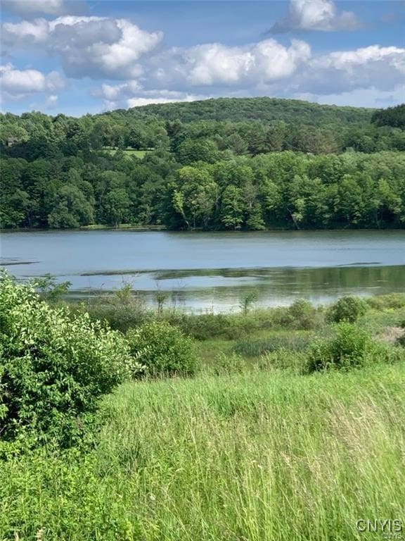 0 E Lake Rd, Madison, NY 13346