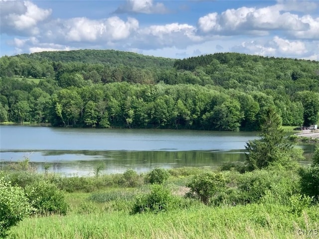 0 E Lake Rd, Madison, NY 13346