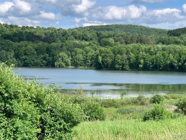 0 E Lake Rd, Madison, NY 13346