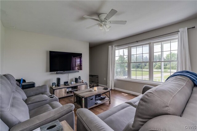 30656 Nys Route 37, Le Ray, NY 13637 - living room with wood finished floors and a ceiling fan