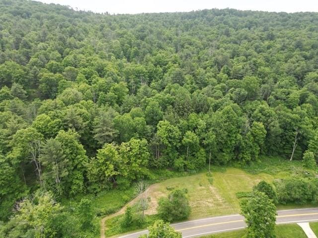 210 Mallory Rd, Chemung, NY 14825