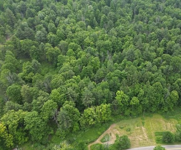 210 Mallory Rd, Chemung, NY 14825