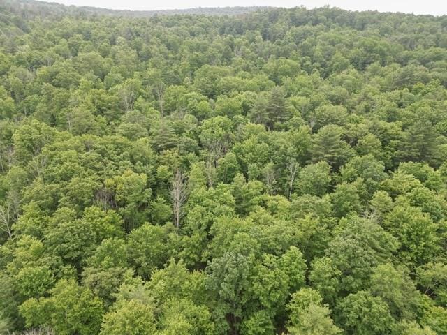 210 Mallory Rd, Chemung, NY 14825
