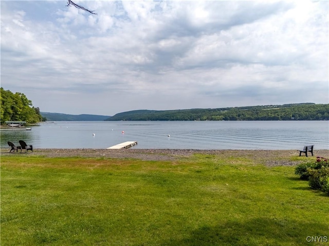 3271 Lanning Rd, Spafford, NY 13152 - water view